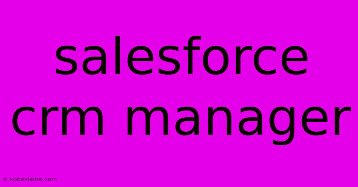 Salesforce Crm Manager