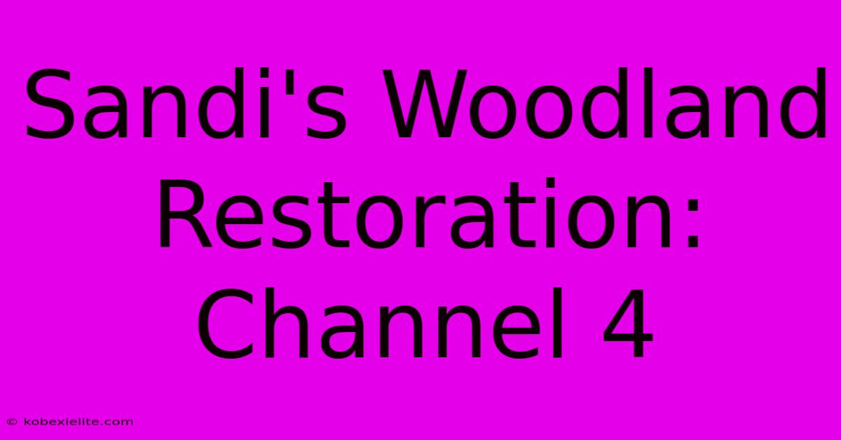 Sandi's Woodland Restoration: Channel 4