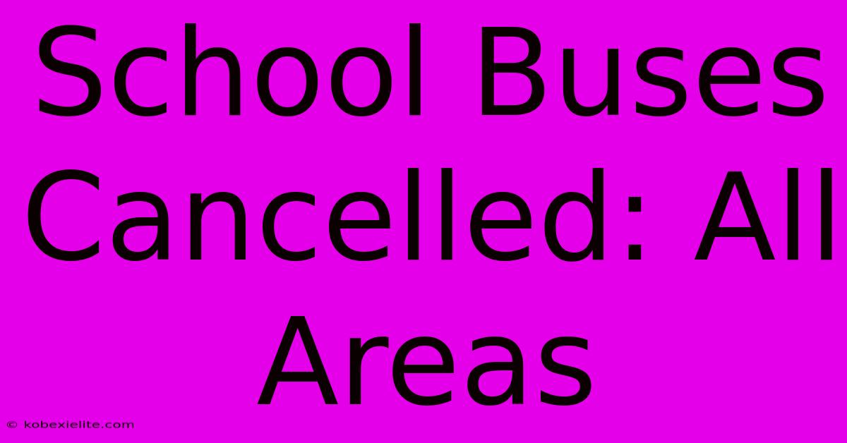 School Buses Cancelled: All Areas