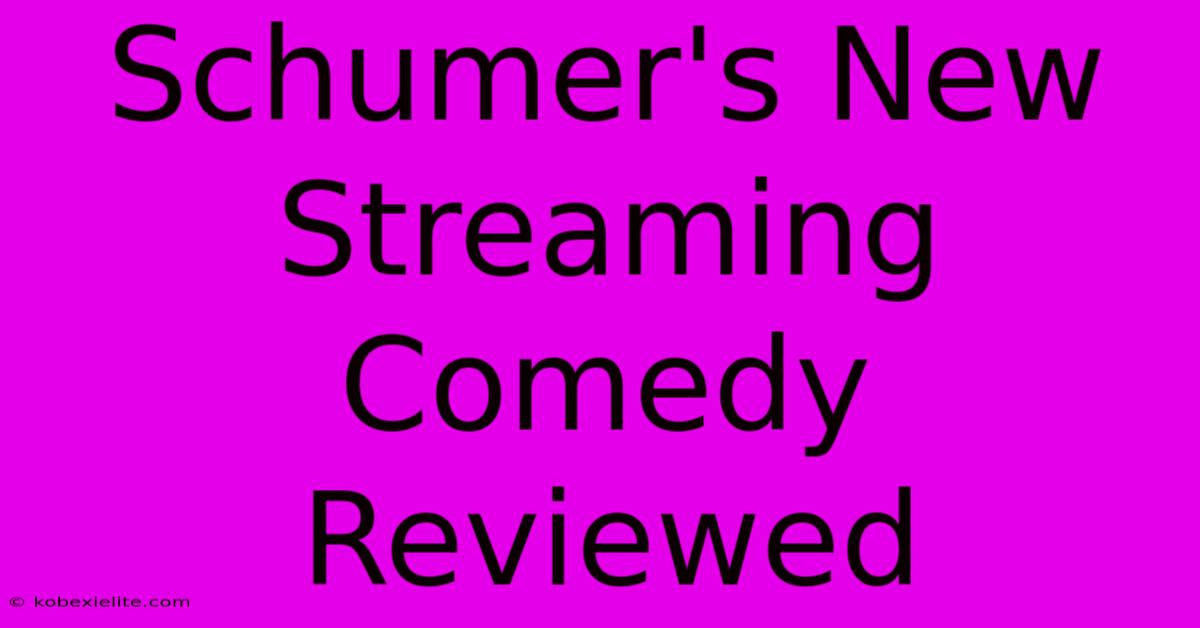 Schumer's New Streaming Comedy Reviewed