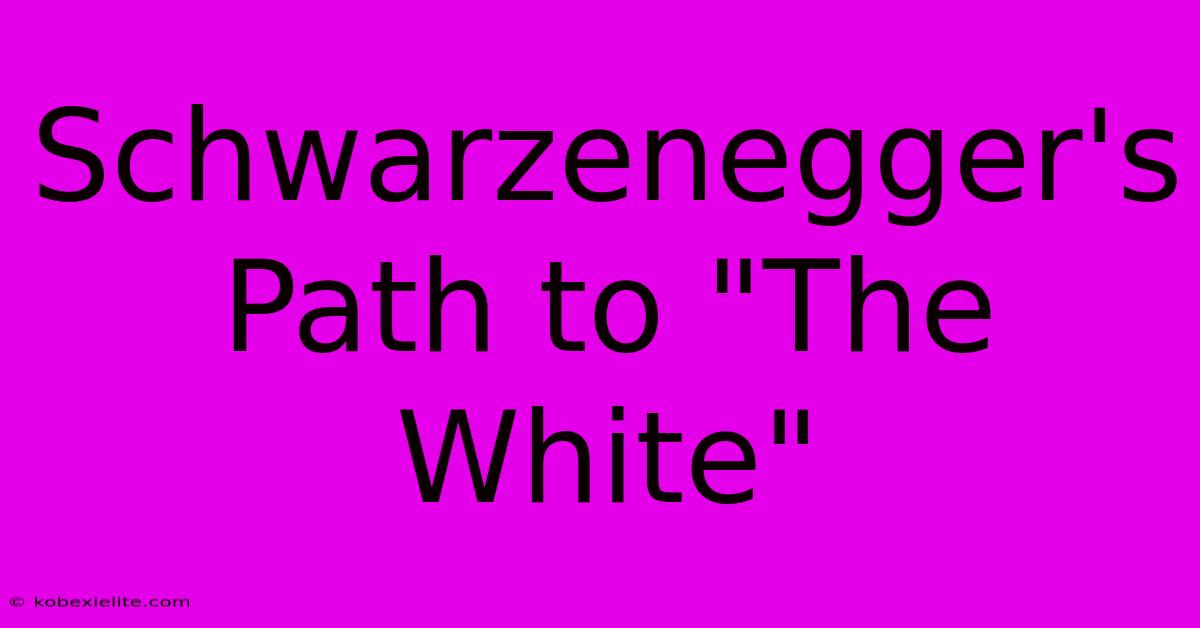 Schwarzenegger's Path To 