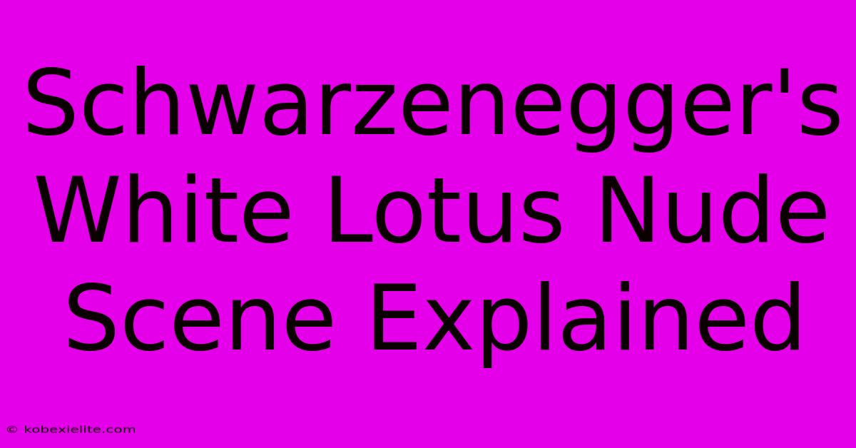 Schwarzenegger's White Lotus Nude Scene Explained