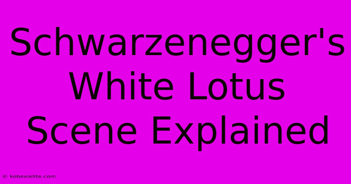 Schwarzenegger's White Lotus Scene Explained