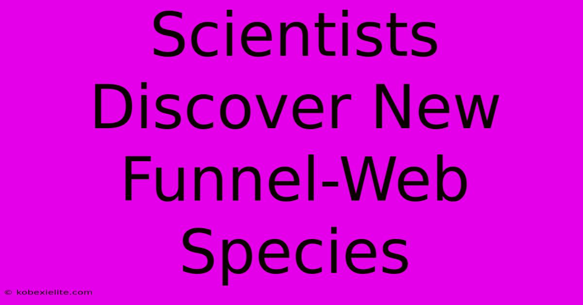 Scientists Discover New Funnel-Web Species