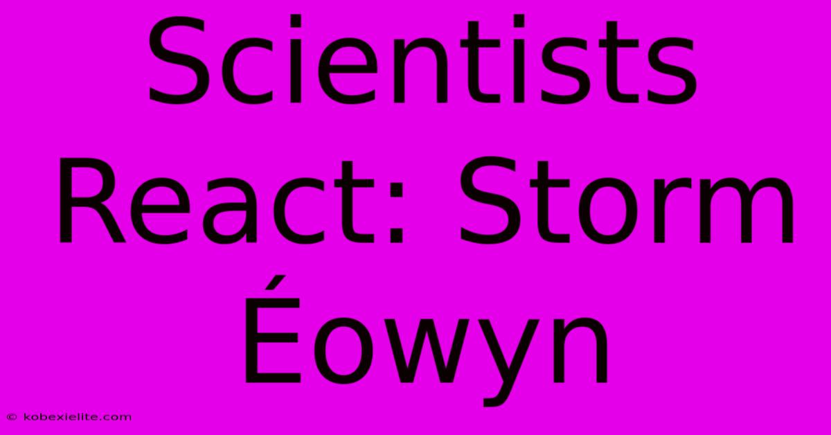 Scientists React: Storm Éowyn