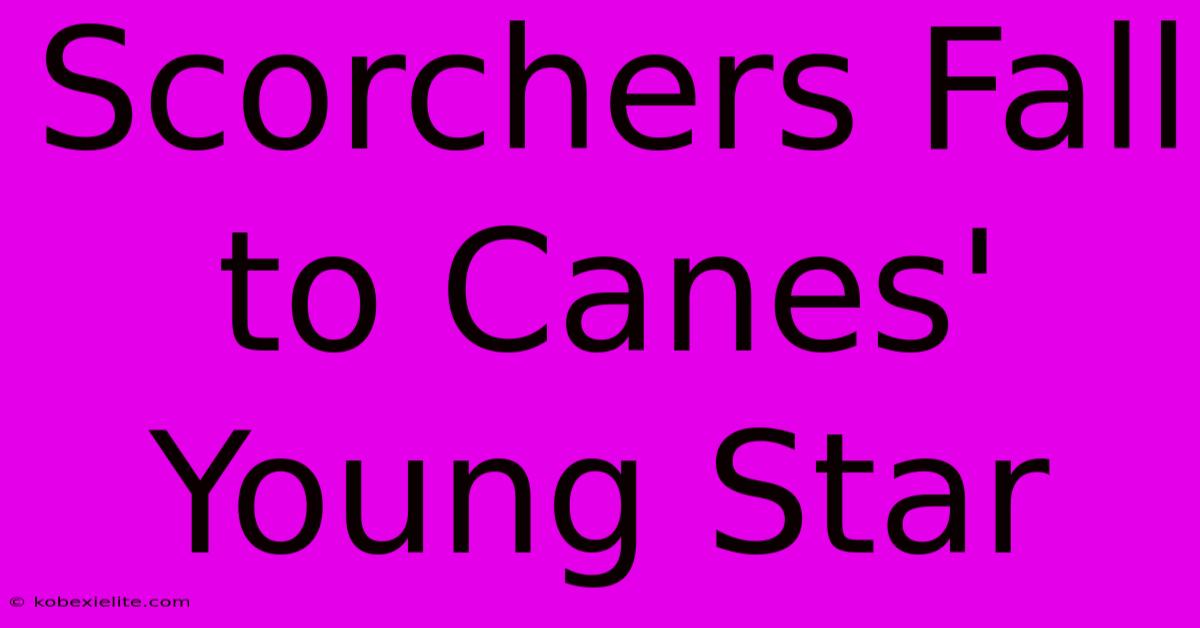 Scorchers Fall To Canes' Young Star