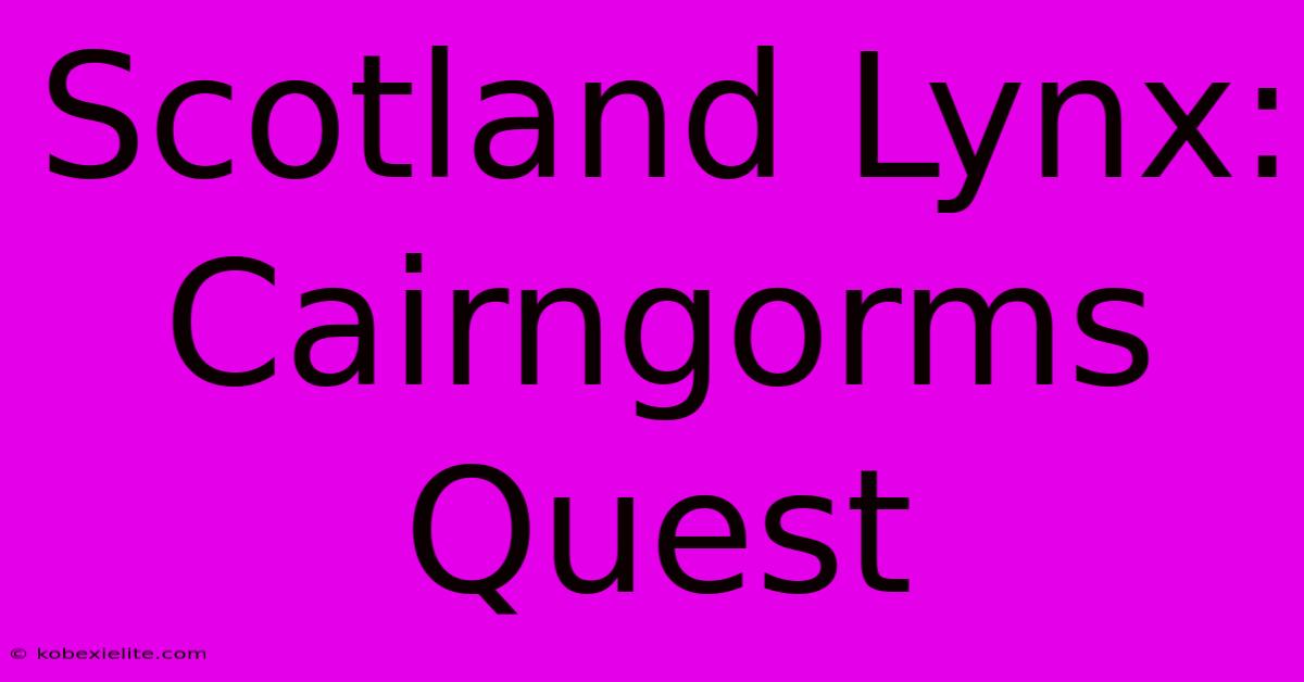 Scotland Lynx: Cairngorms Quest