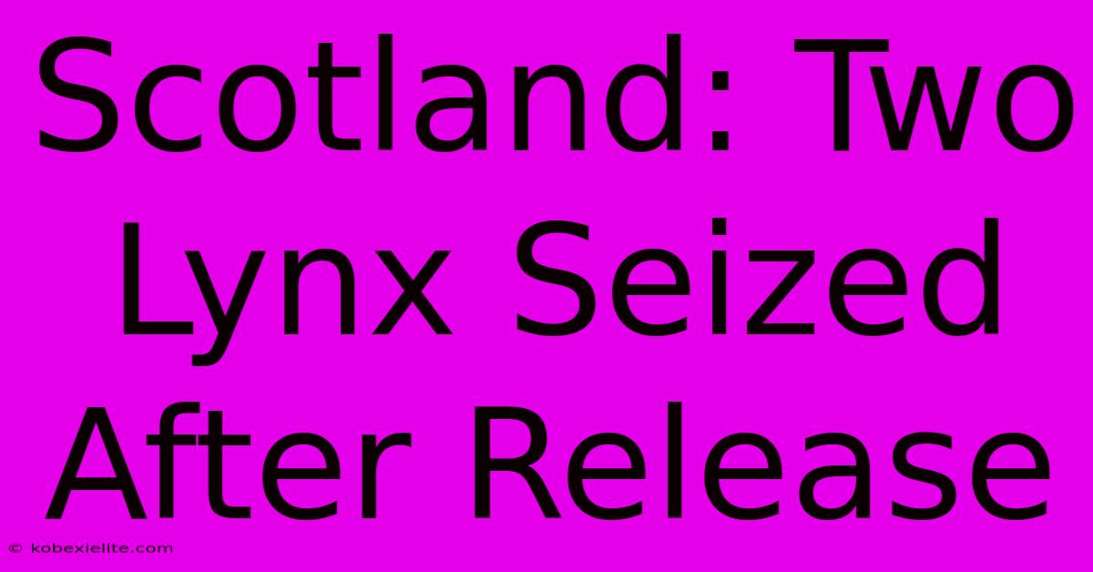 Scotland: Two Lynx Seized After Release