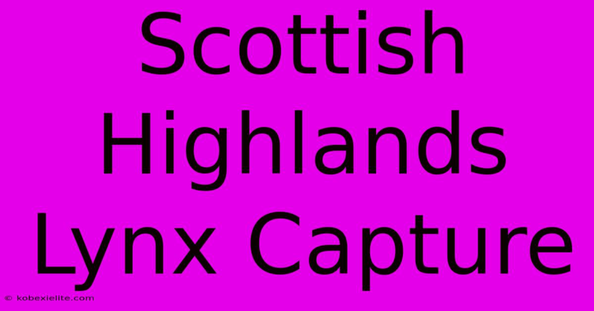 Scottish Highlands Lynx Capture