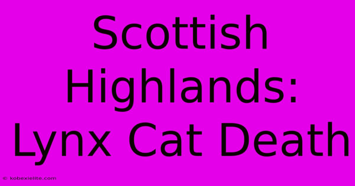 Scottish Highlands: Lynx Cat Death