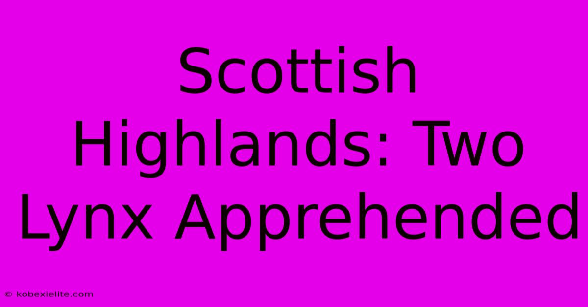 Scottish Highlands: Two Lynx Apprehended