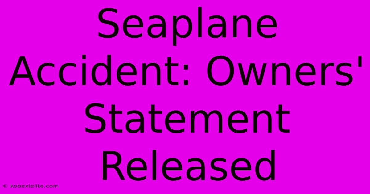 Seaplane Accident: Owners' Statement Released