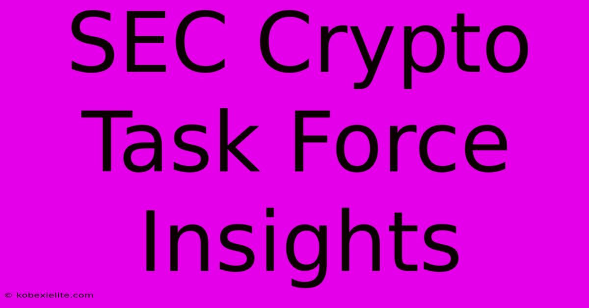 SEC Crypto Task Force Insights