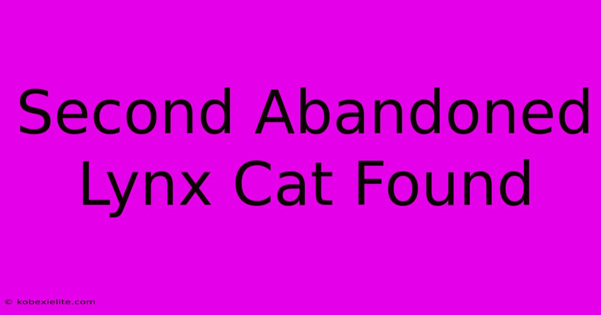 Second Abandoned Lynx Cat Found