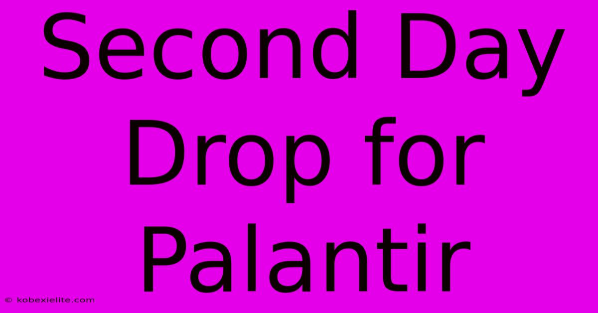 Second Day Drop For Palantir