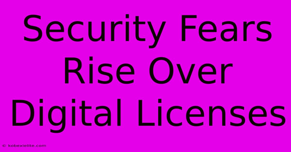 Security Fears Rise Over Digital Licenses