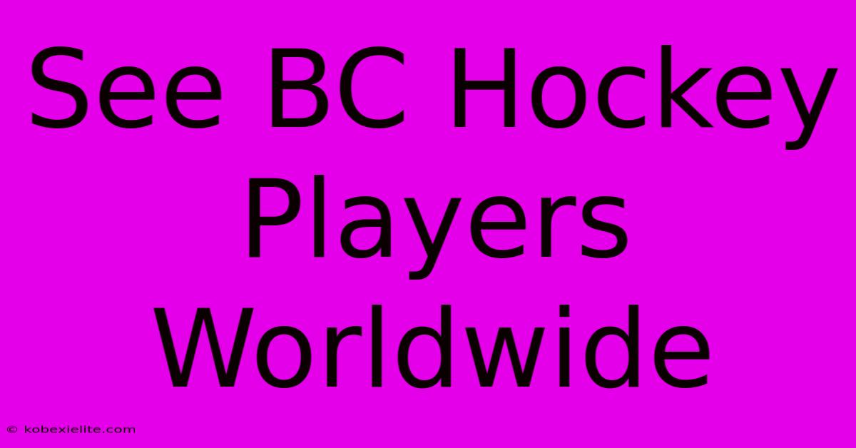 See BC Hockey Players Worldwide