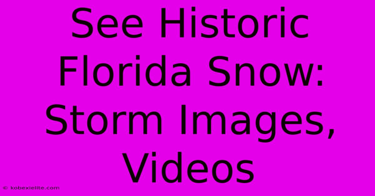 See Historic Florida Snow: Storm Images, Videos