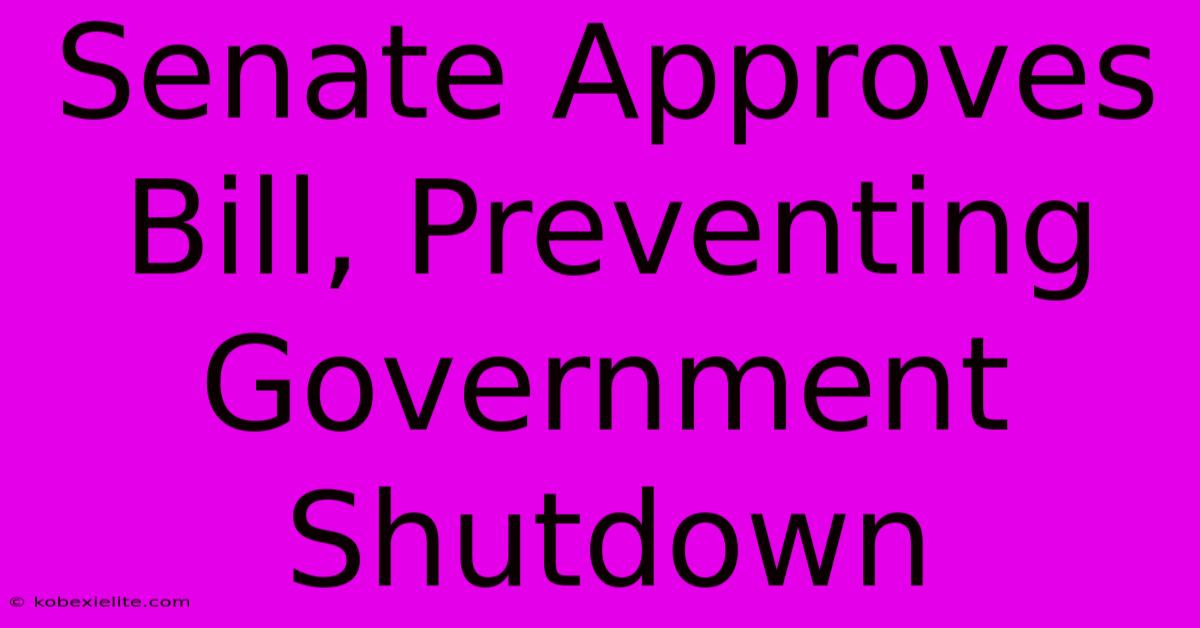 Senate Approves Bill, Preventing Government Shutdown