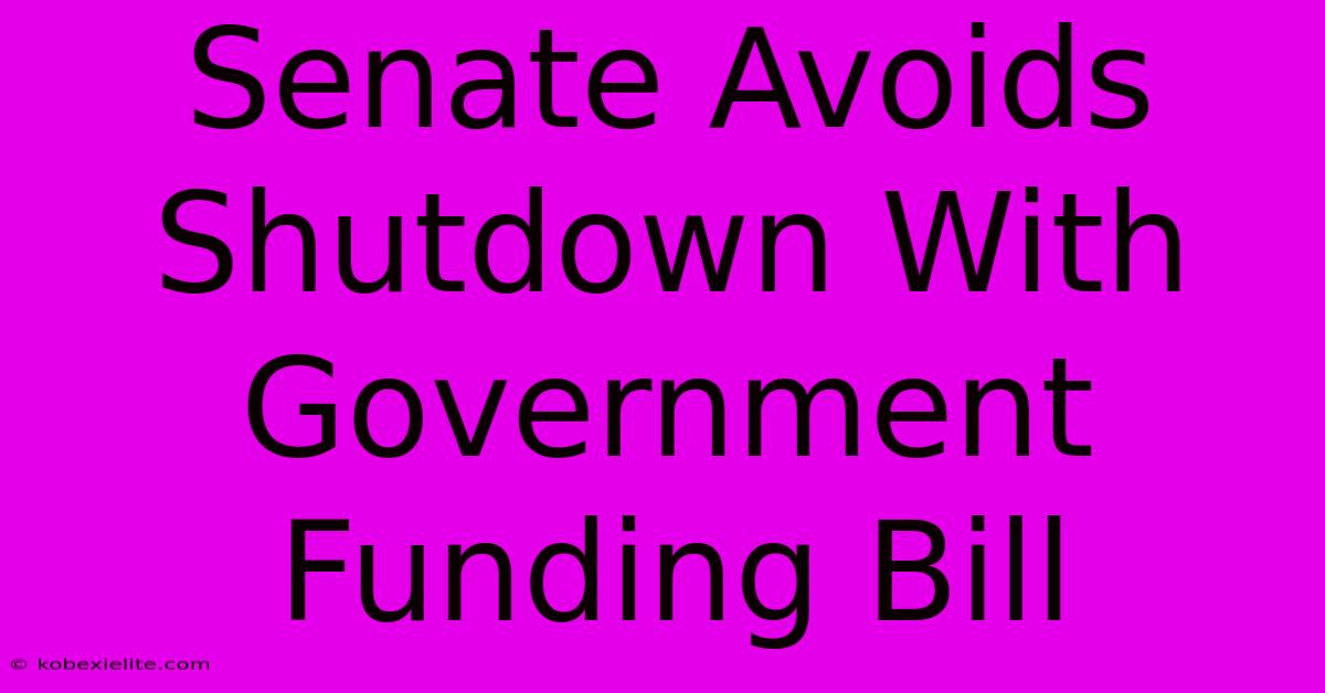 Senate Avoids Shutdown With Government Funding Bill