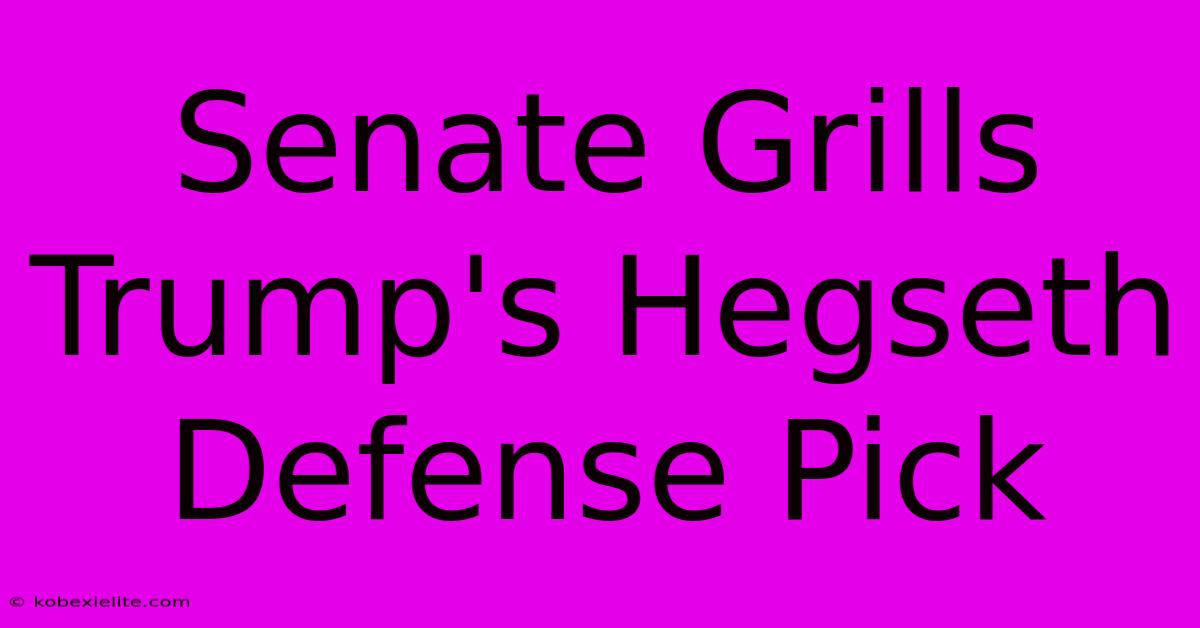 Senate Grills Trump's Hegseth Defense Pick