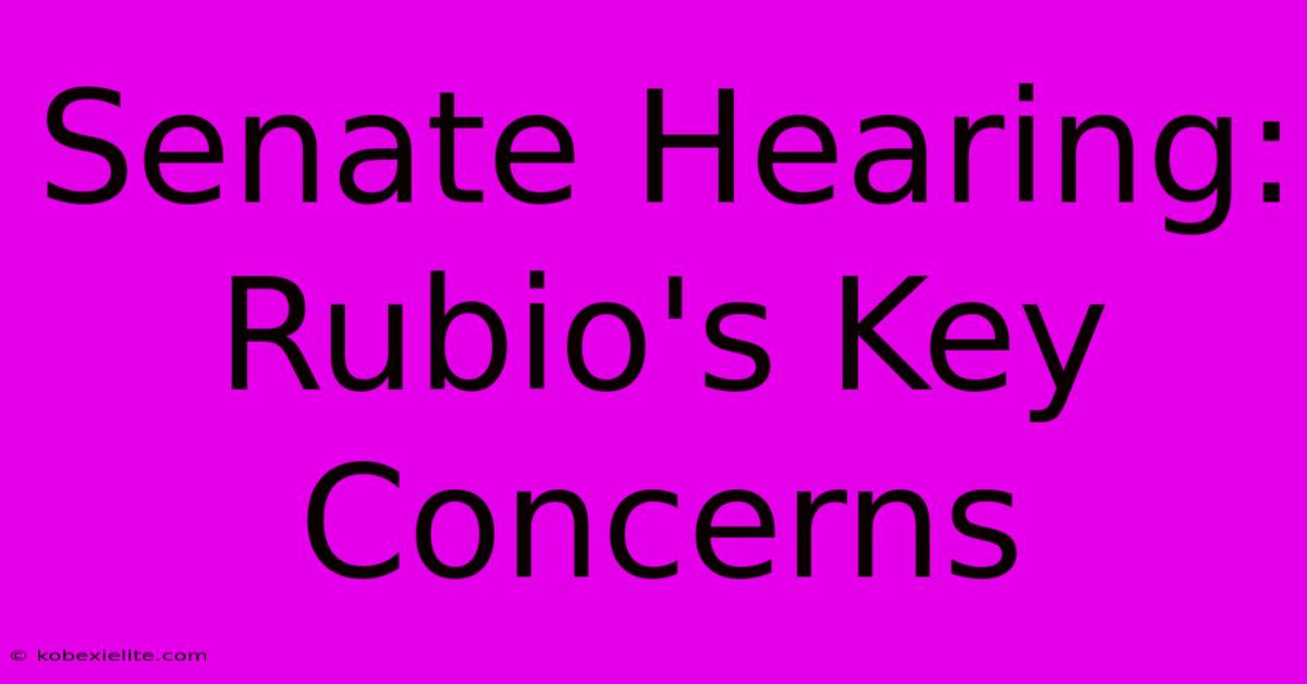 Senate Hearing: Rubio's Key Concerns