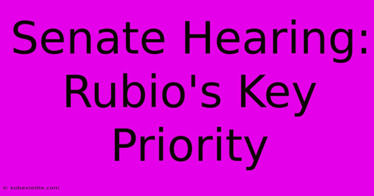 Senate Hearing: Rubio's Key Priority