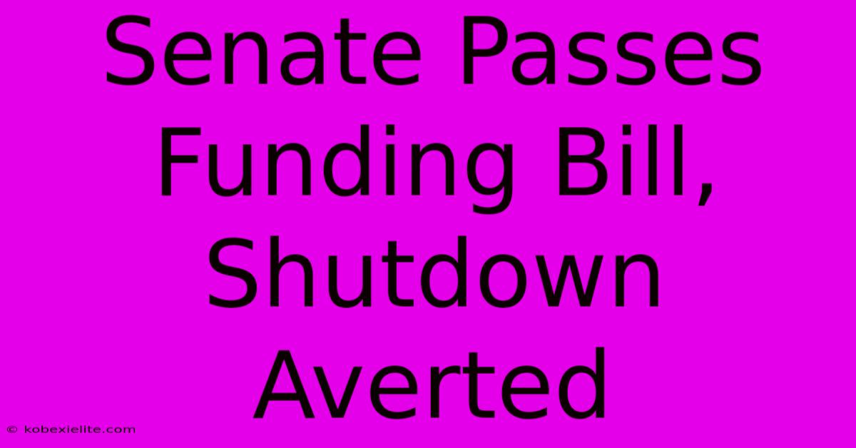 Senate Passes Funding Bill, Shutdown Averted