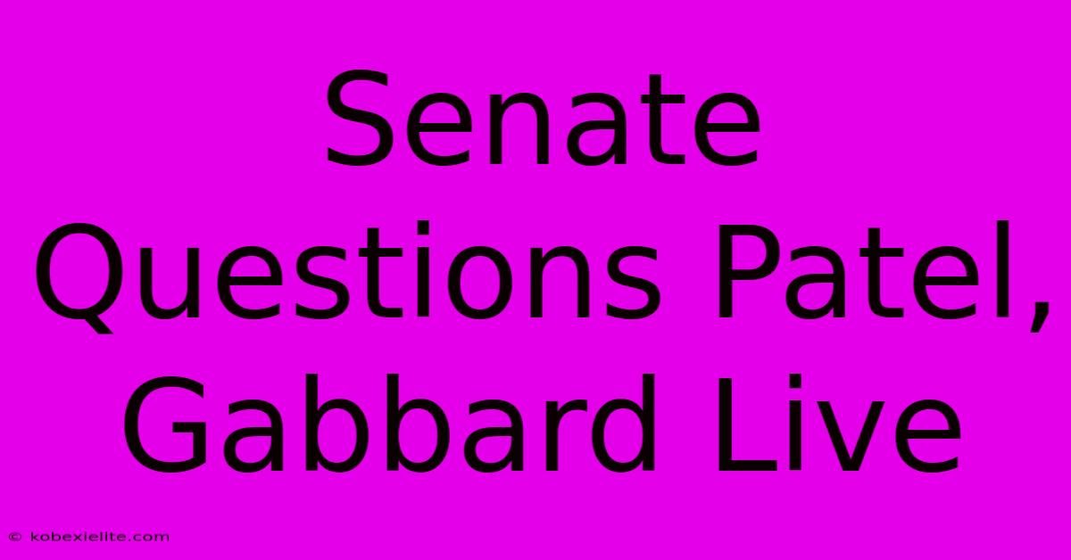 Senate Questions Patel, Gabbard Live