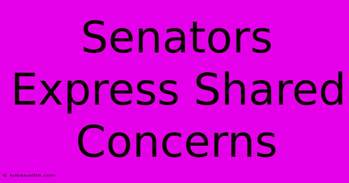 Senators Express Shared Concerns