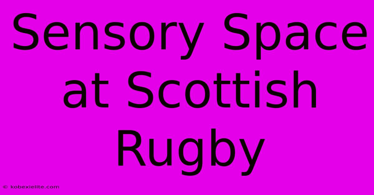 Sensory Space At Scottish Rugby