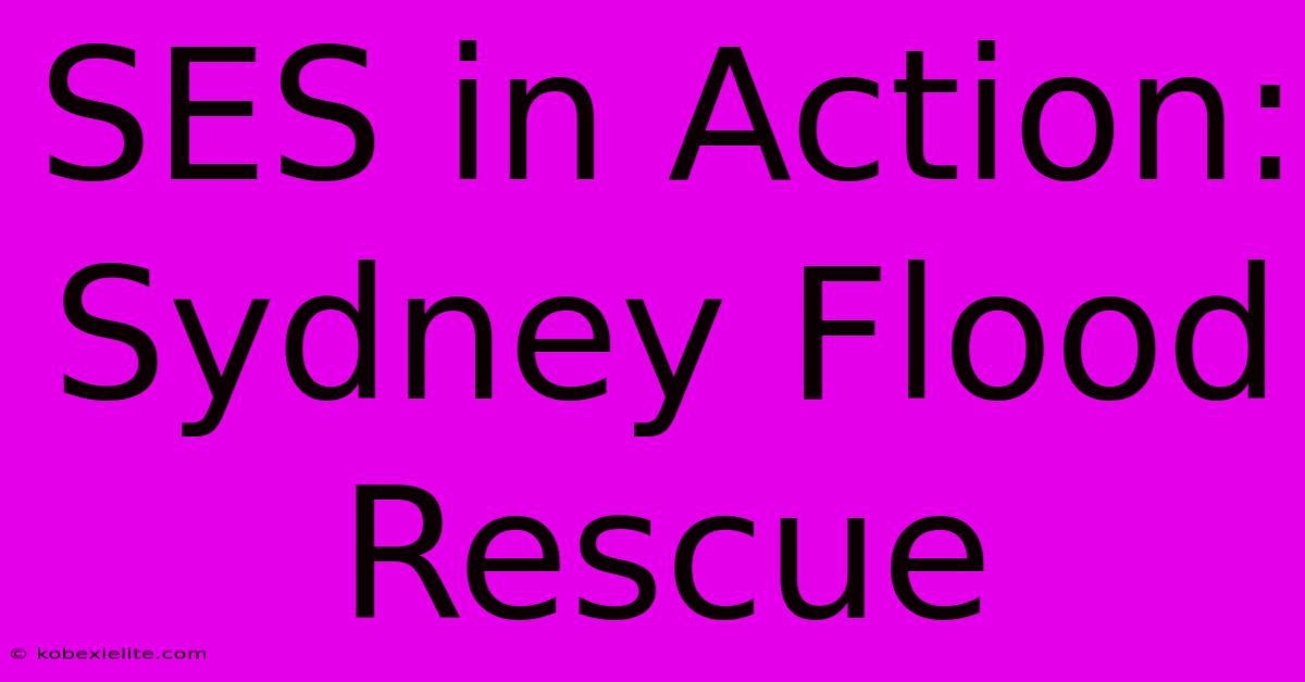 SES In Action: Sydney Flood Rescue