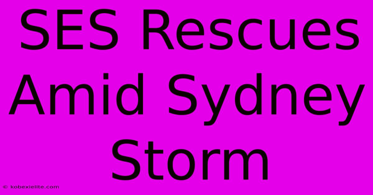 SES Rescues Amid Sydney Storm