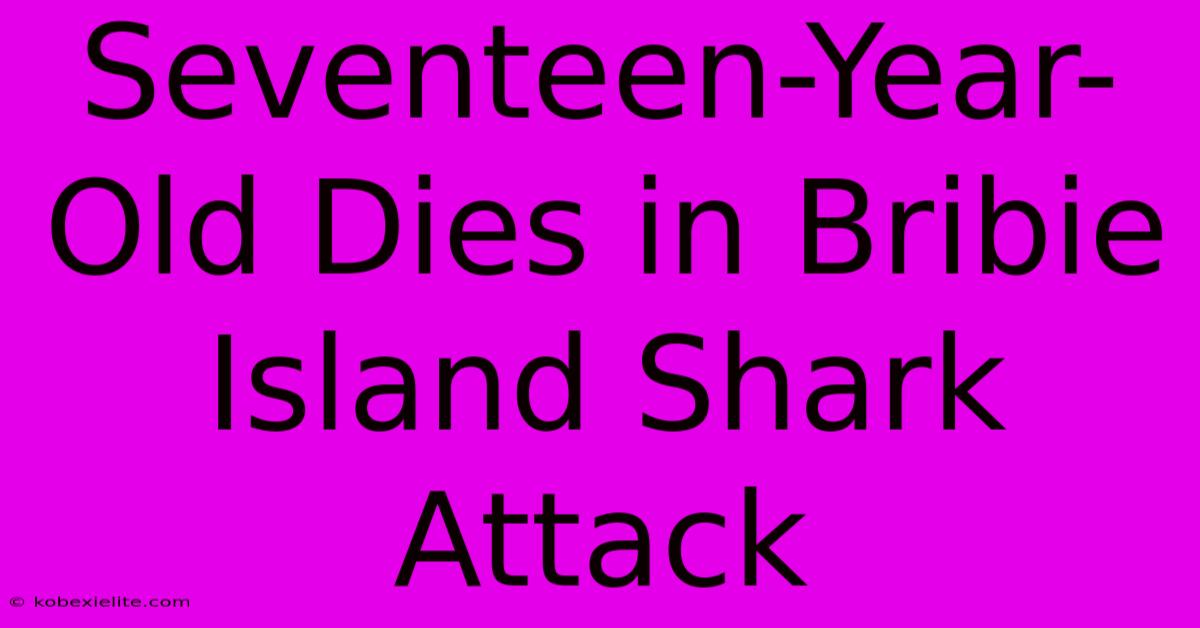 Seventeen-Year-Old Dies In Bribie Island Shark Attack