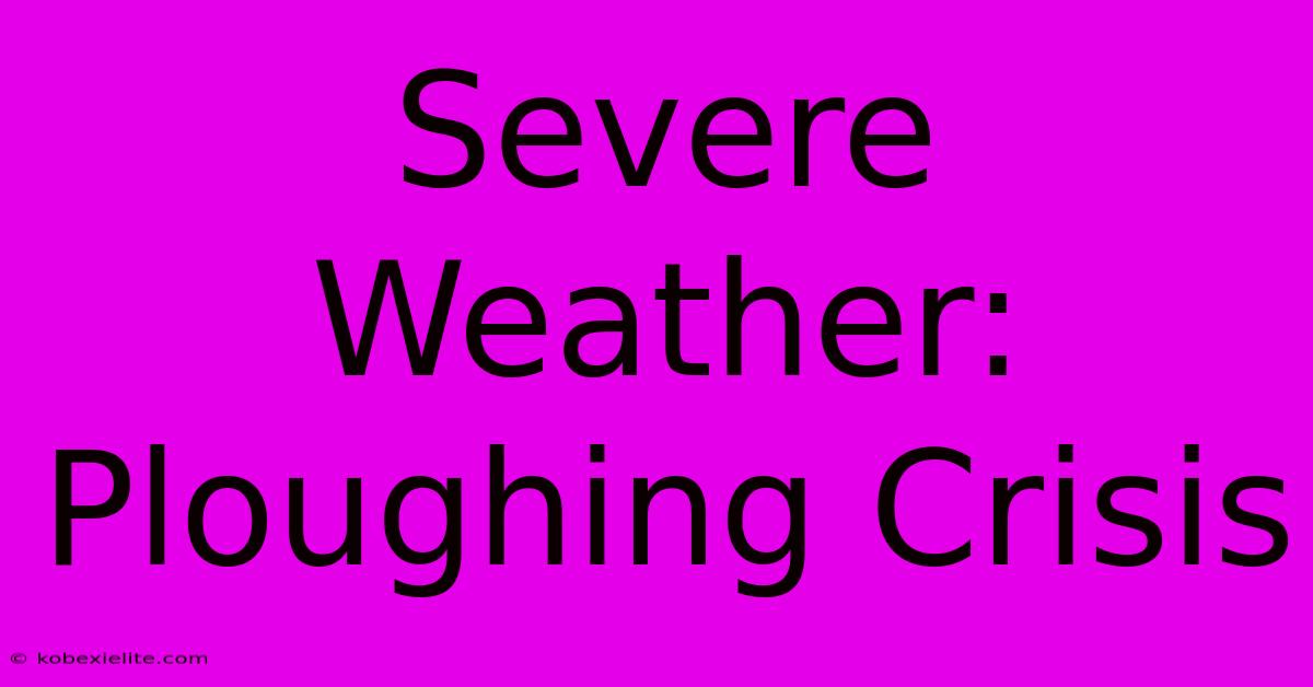 Severe Weather: Ploughing Crisis