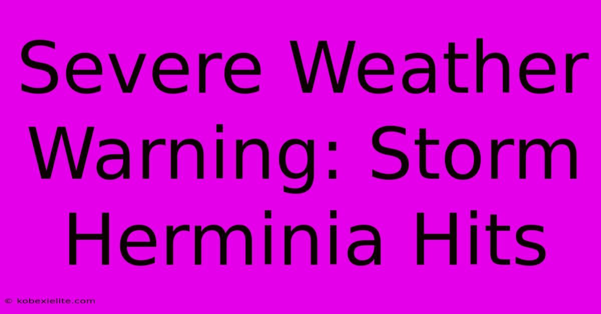 Severe Weather Warning: Storm Herminia Hits