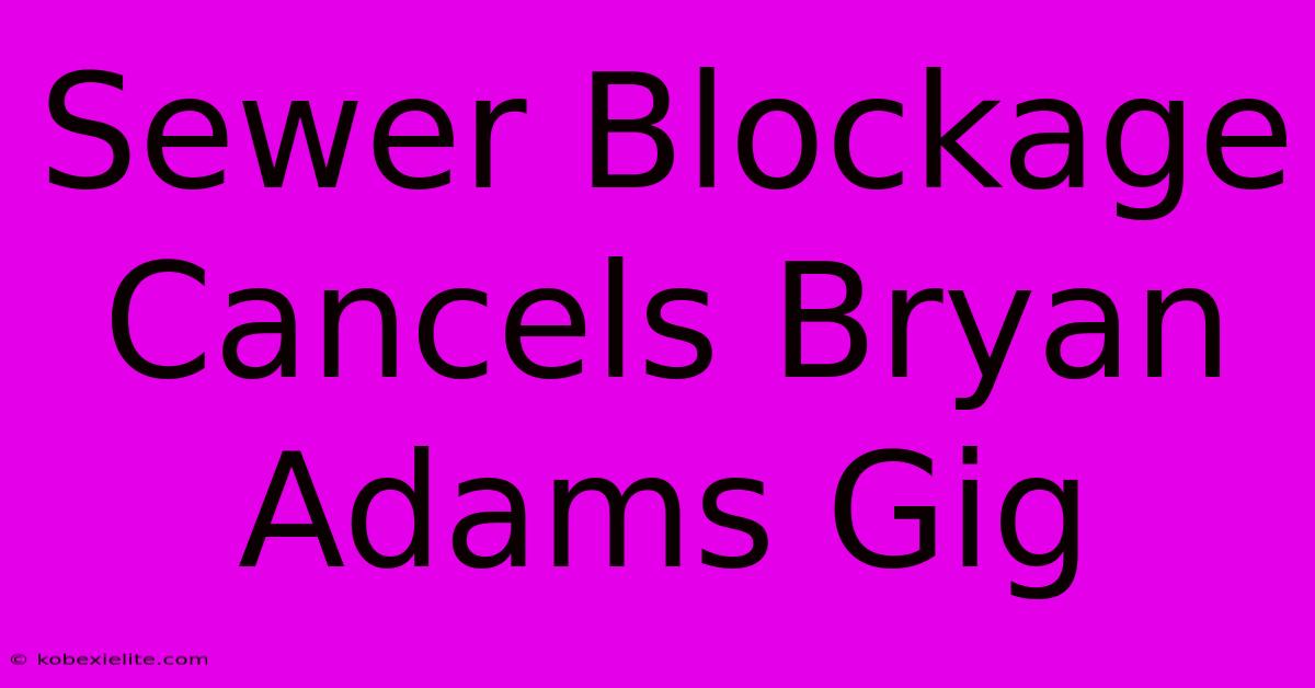 Sewer Blockage Cancels Bryan Adams Gig