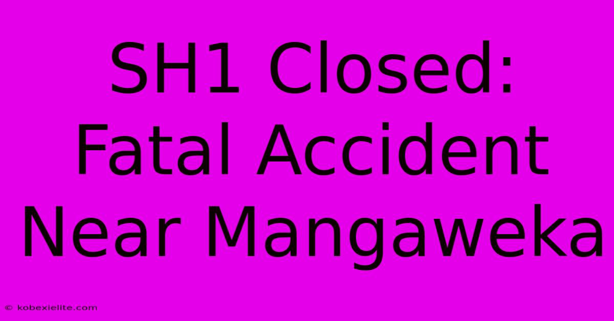 SH1 Closed: Fatal Accident Near Mangaweka