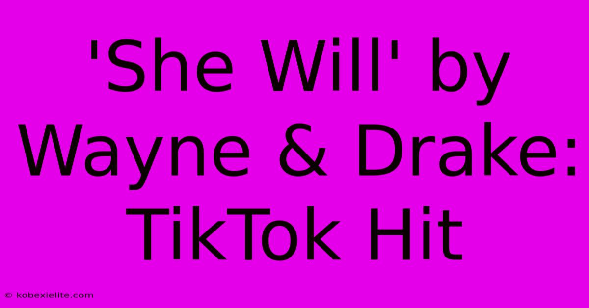 'She Will' By Wayne & Drake: TikTok Hit