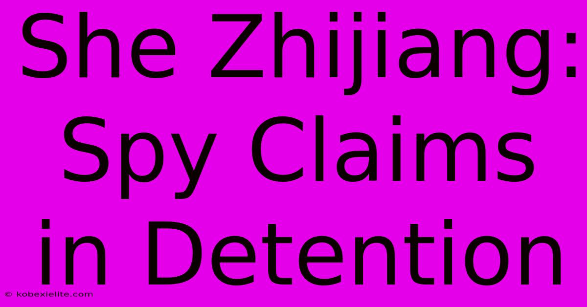 She Zhijiang: Spy Claims In Detention