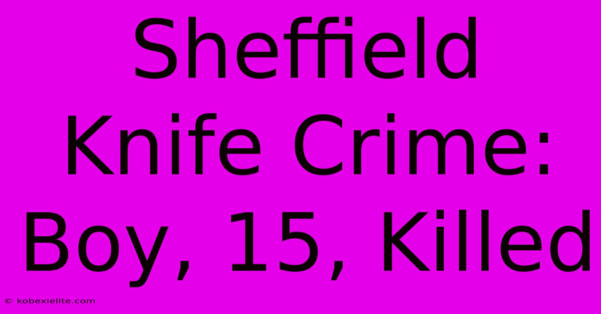 Sheffield Knife Crime: Boy, 15, Killed