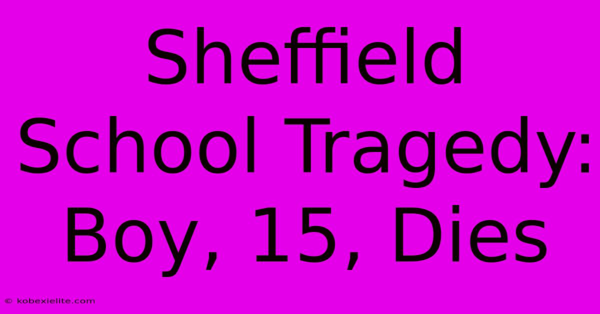 Sheffield School Tragedy: Boy, 15, Dies