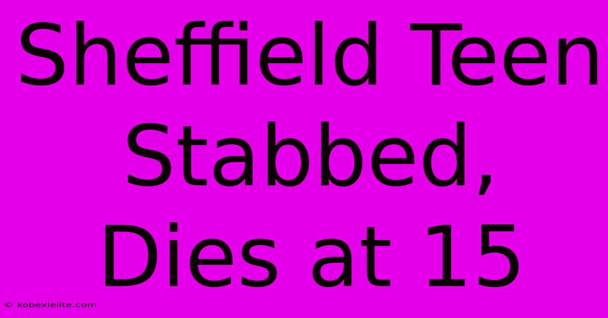 Sheffield Teen Stabbed, Dies At 15