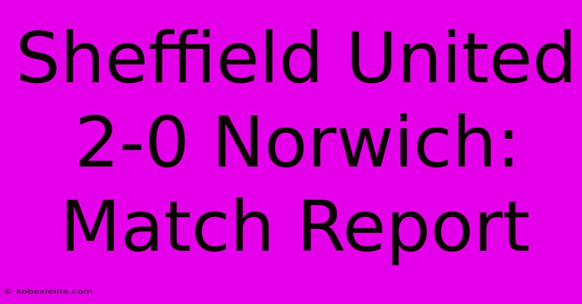 Sheffield United 2-0 Norwich: Match Report