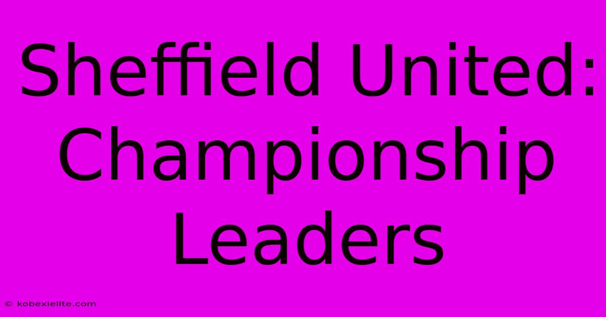 Sheffield United: Championship Leaders