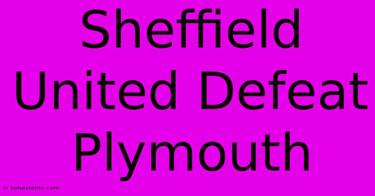 Sheffield United Defeat Plymouth Sheffield United Defeat Plymouth