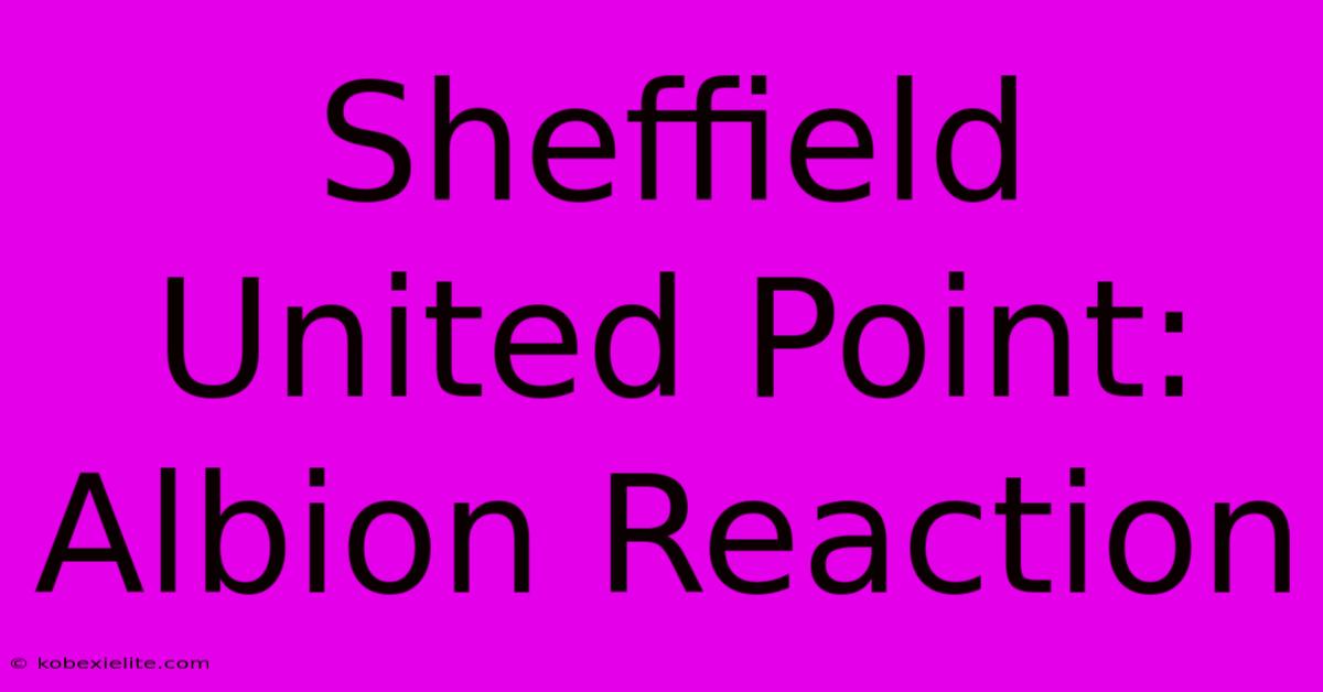 Sheffield United Point: Albion Reaction