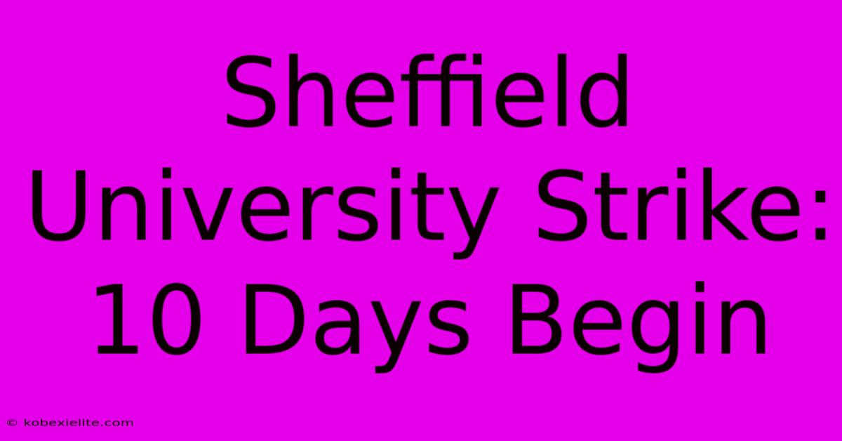 Sheffield University Strike: 10 Days Begin