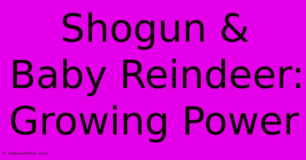 Shogun & Baby Reindeer: Growing Power