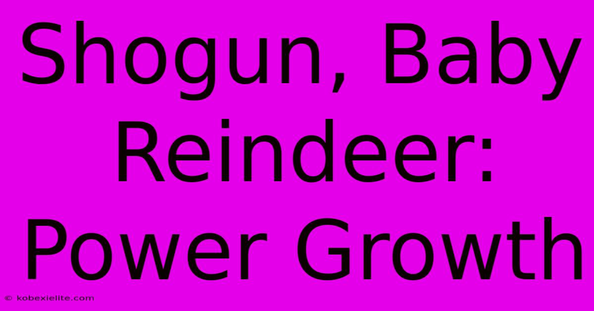 Shogun, Baby Reindeer: Power Growth